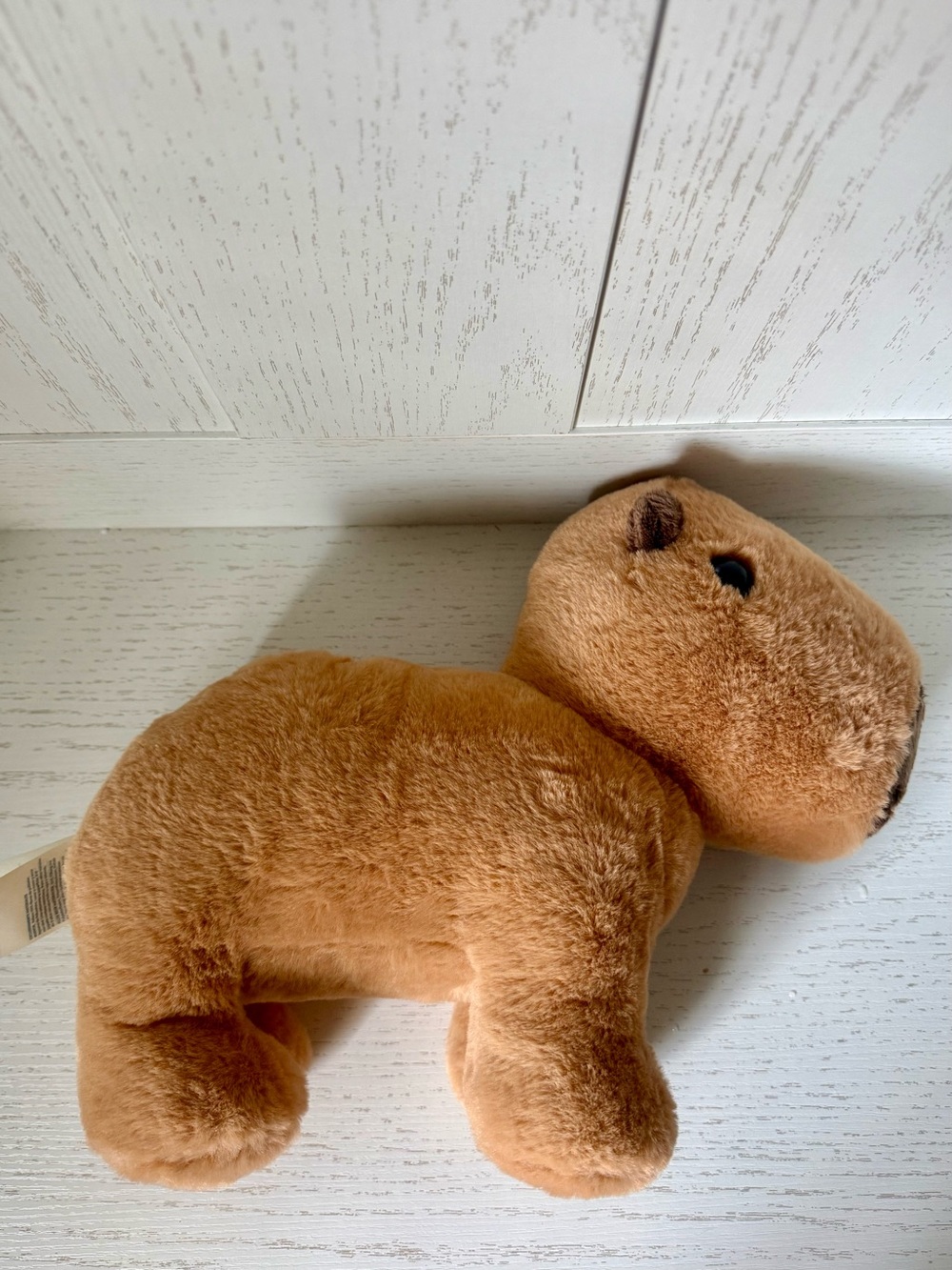 Build-A-Bear Soft Capybara 14” plush - Picture 3 of 7